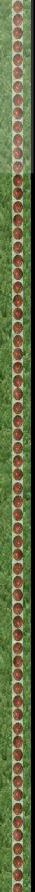 wp19e981e5.png