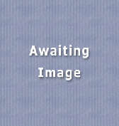 wp1b019a84.png