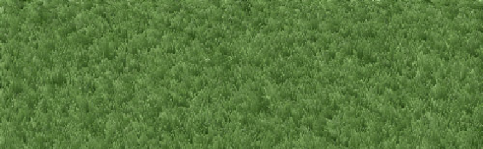 wp3f987926.png