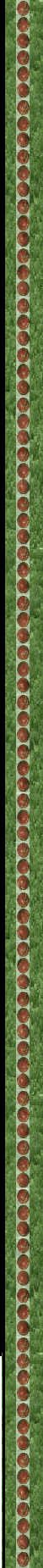 wp528550ae.png